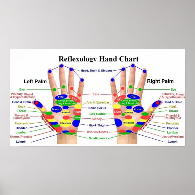 Handreflexologi 22 x 12 tum poster (Framsidan)