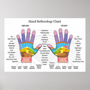 Handreflexologi 36 x 24 tum poster