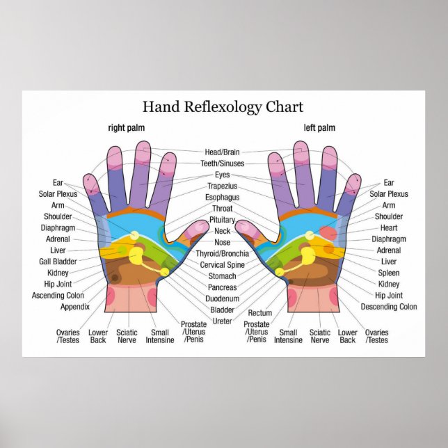 Handreflexologi 36 x 24 tum poster (Framsidan)