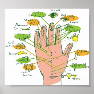Handreflexologi 6 x 5 tum poster
