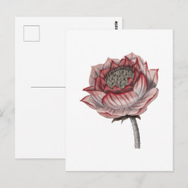 Handritad lotusillustration vykort