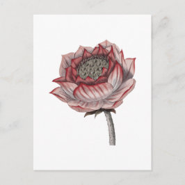 Handritad lotusillustration vykort