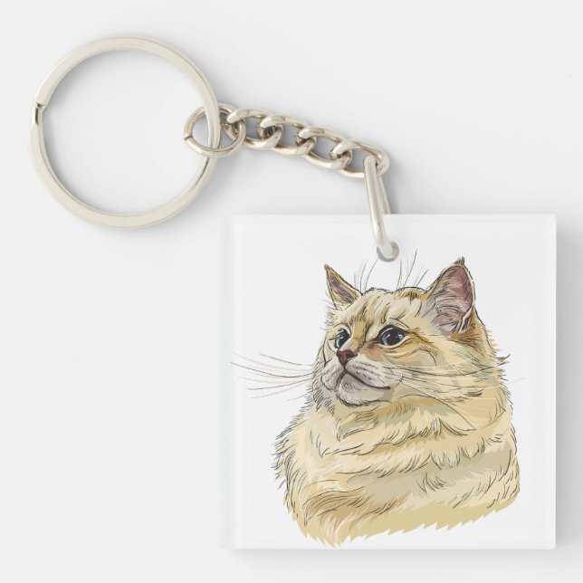 Handritad rolig fluffig Ragdoll katt (Framsidan)