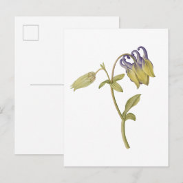 Handritad vanlig akvilegiflower vykort