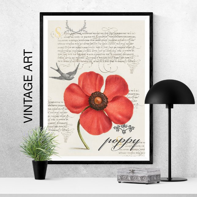 Handritad Vintage Red Poppy 🌸 Svälj-Svan Kite Poster (Vintage hand-drawn poppy with swallow-tail kite and vintage type poster adds a bright pop of red!)