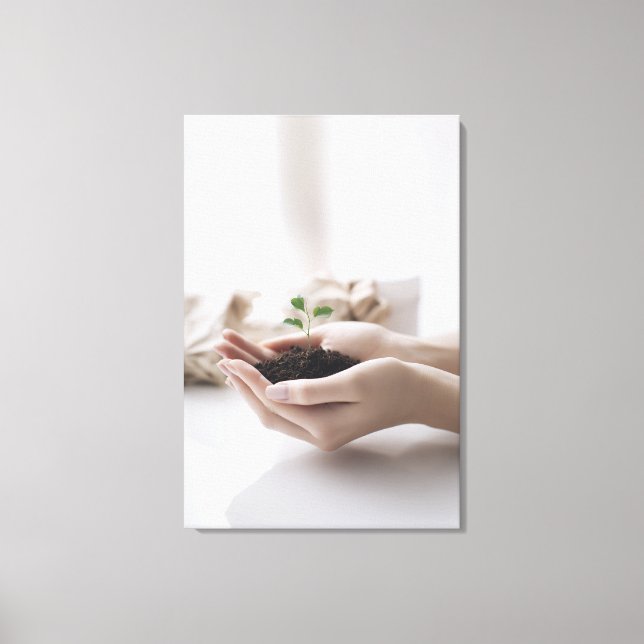 Hands Holding Seedling Growth Hope Canvastryck (Framsida)