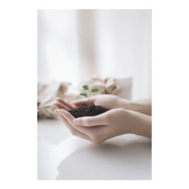 Hands Holding Seedling Growth Hope Fototryck