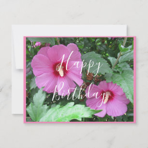 Handskriven Rosa ros i Sharon Photo Birthday