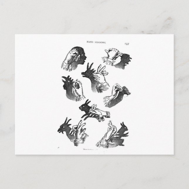 Handskuggor på väggen vykort (Framsida)
