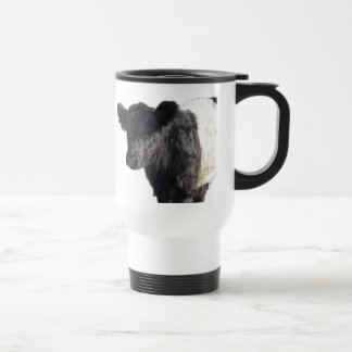 Handsome Belted Galloway Steer Resemugg