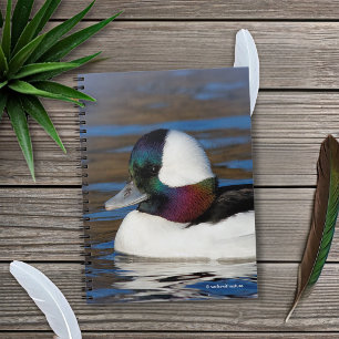 Handsome Bufflehead Anka vid vinter Pond Anteckningsbok Med Spiral