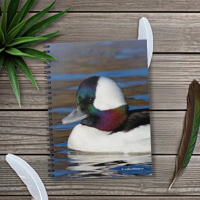 Handsome Bufflehead Anka vid vinter Pond Anteckningsbok Med Spiral (Handsome Bufflehead Duck in the Pond Journal Cover Photo)