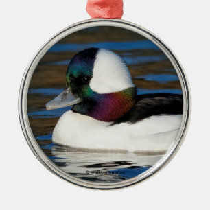 Handsome Bufflehead Anka vid vinter Pond Julgransprydnad Metall