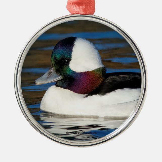 Handsome Bufflehead Anka vid vinter Pond Julgransprydnad Metall (Framsidan)