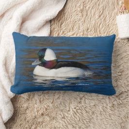 Handsome Bufflehead Anka vid vinter Pond Lumbarkudde