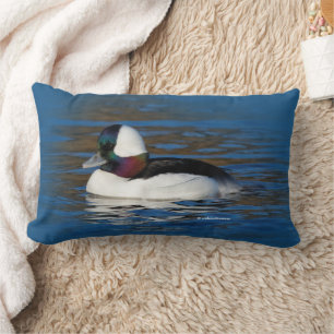 Handsome Bufflehead Anka vid vinter Pond Lumbarkudde