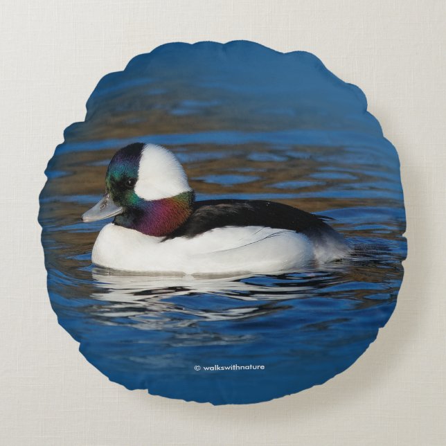 Handsome Bufflehead Anka vid vinter Pond Rund Kudde (Framsidan)