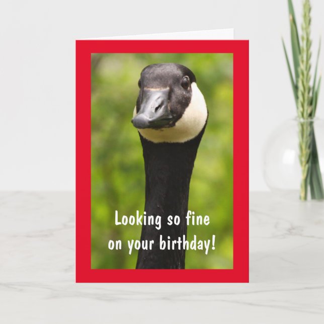 Handsome Canada Goose Funny Birthday Card Kort (Framsida)
