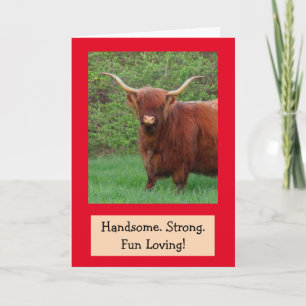 Handsome Funny Highland Steer Birthday Kort
