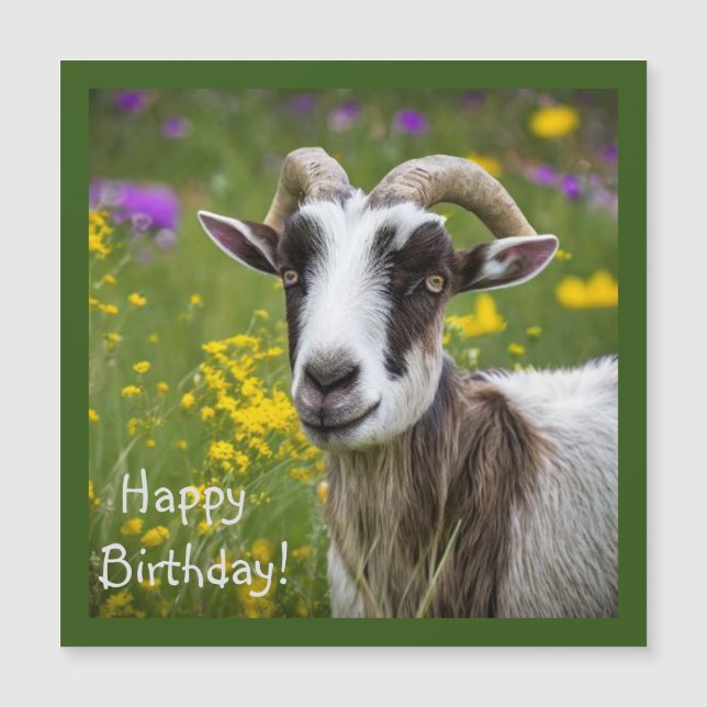 Handsome Goat (Framsida)