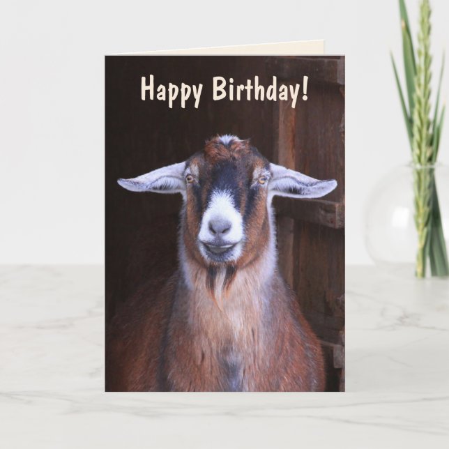 Handsome Goat Birthday Kort (Framsida)
