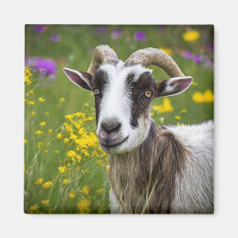 Handsome Goat Magnet