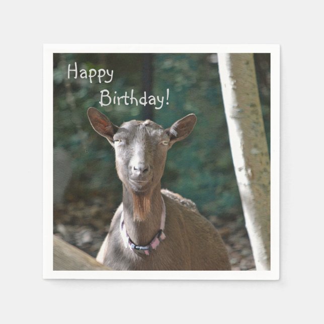 Handsome Goat Pappersservett (Framsidan)