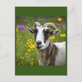 Handsome Goat Vykort