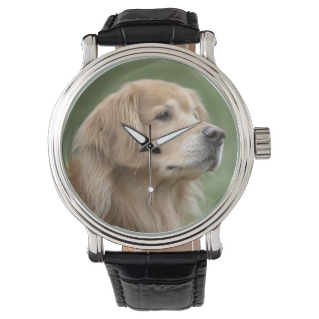 Handsome Golden Retriever Hund in Closeup Armbandsur (Framsida)