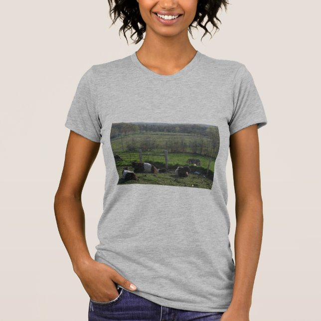 Handsome Herd of Belties Relaxing T-Shirt (Framsida)