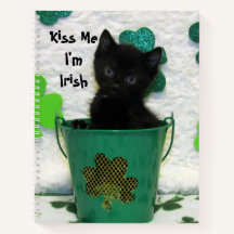 Handsome Jacks Shamrock - Cat / Kitten Spiral