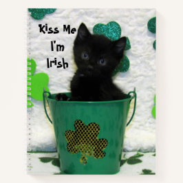 Handsome Jacks Shamrock - Cat / Kitten Spiral
