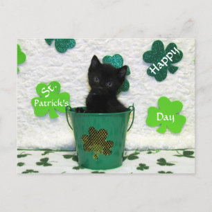 Handsome Jacks St. Patrick's Day Cat / Kitten Vykort
