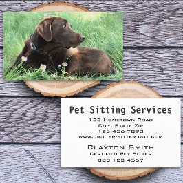 Handsome Labrador Retriever Photographic Animal Ca Visitkort