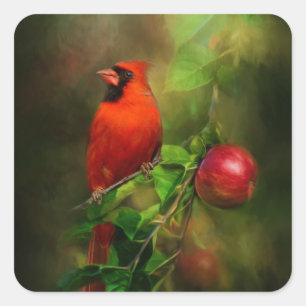 Handsome Male Cardinal Fyrkantigt Klistermärke