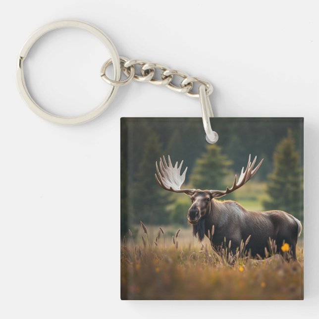 Handsome Moose (Framsidan)