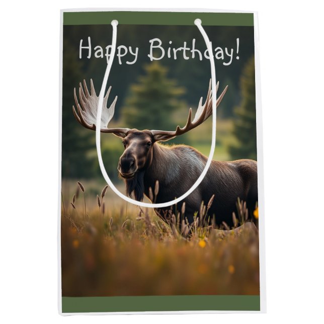 Handsome Moose (Framsidan)