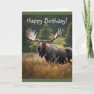 Handsome Moose Kort