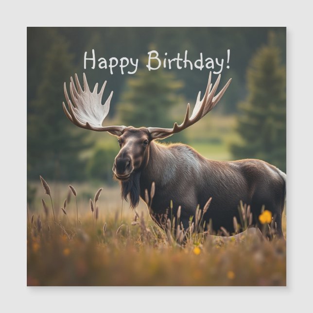 Handsome Moose Magnetic Birthday Card (Framsida)