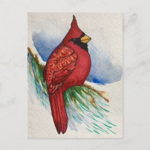 Handsome Northern Cardinal Red Bird Vykort