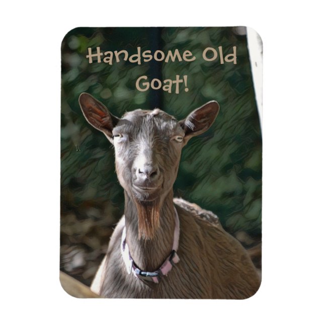 Handsome Old Goat Magnet (Vertikal)