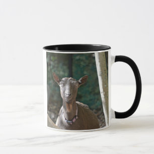Handsome Old Goat Mugg