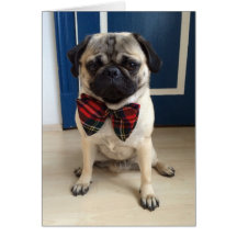 Handsome Pug in a Bow tie design