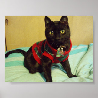 Handsome Seimei Poster Skriv ut