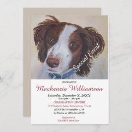 HANDSOME SETTER PUPPY ÖNSKEMÅL GRATTIS PÅ FÖDELSED INBJUDNINGAR