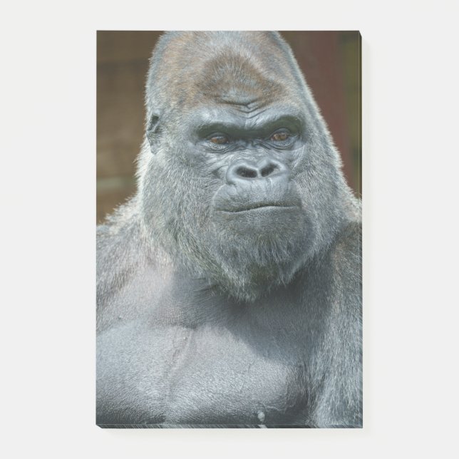 Handsome Silverback Post-it Block (Framsida)