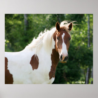 Handsome Sonny Poster