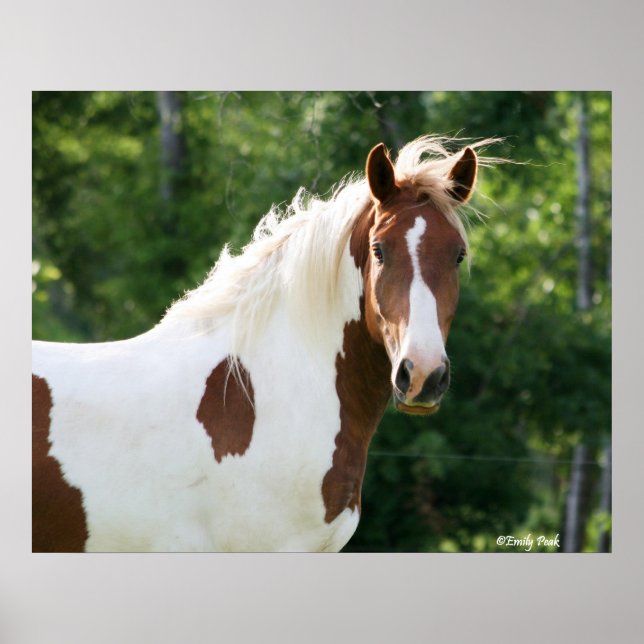 Handsome Sonny Poster (Framsidan)