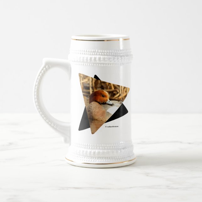 Handsome Stranger Eurasian Wigeon Anka vid dammen Sejdel (Vänster)