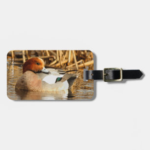 Handsome Stranger i Town Eurasian Wigeon Bagagebricka